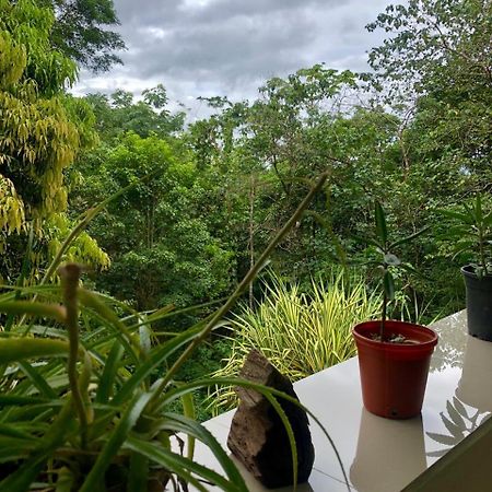 San Rafael Ecolodge La Tigra  外观 照片