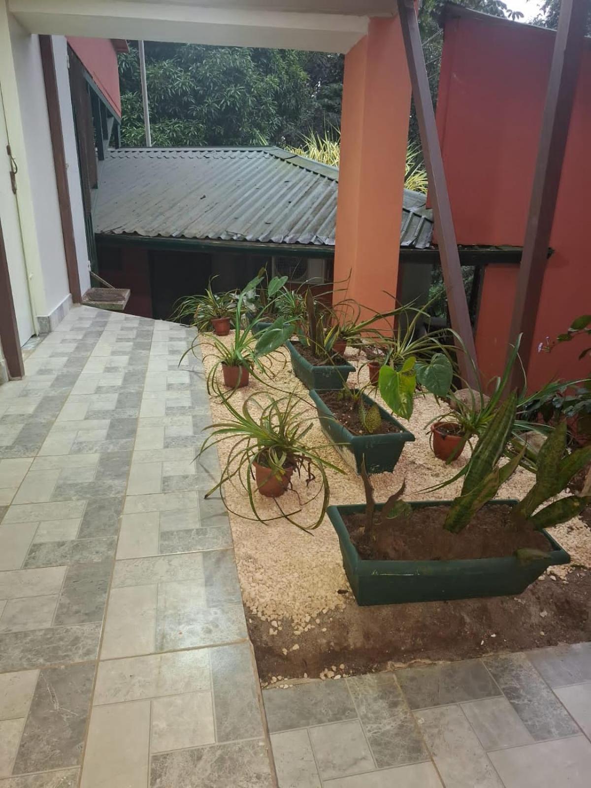 San Rafael Ecolodge La Tigra  外观 照片